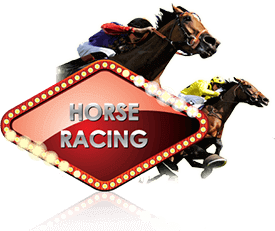 Horse racing betting