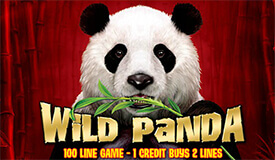 Wild Panda slot